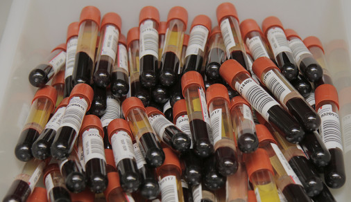 Entrega de los Premios de Investigación