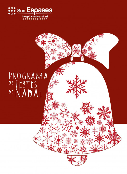 Fiesta de Navidad