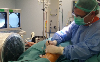 Traumatología de Son Espases aplica una técnica quirúrgica de radiofrecuencia para eliminar el dolor en las rodillas con osteoartritis