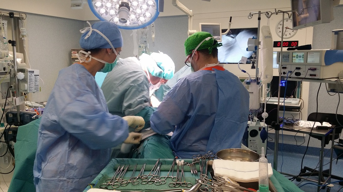 Esta imagen ilustra que: L’any 2014  registra el major nombre d’intervencions quirúrgiques i els millors índex d’activitat de la seva història