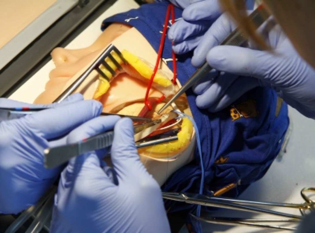 Esta imagen ilustra que: Son Espases acull les segones jornades de formació en cirurgia carotídia