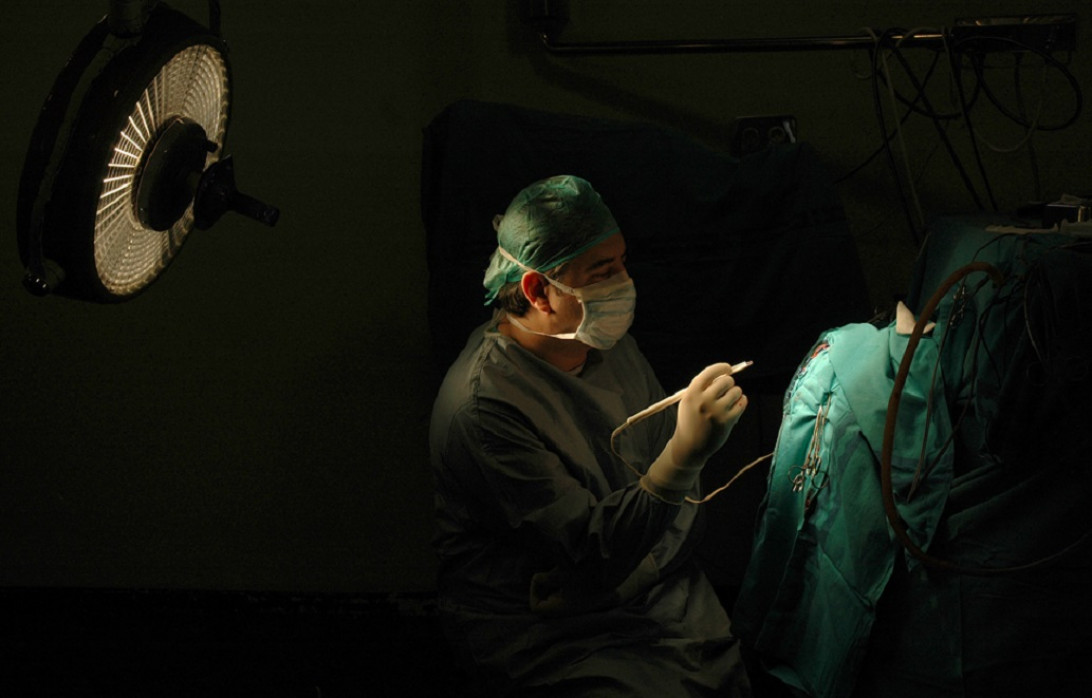 Esta imagen ilustra que: L’Hospital aconsegueix els guardons TOP 20 en les Àrees del Cor i del Sistema Nerviós 