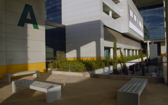 Jornada sobre psoriasis y artritis psoriásica en el Hospital Universitario Son Espases