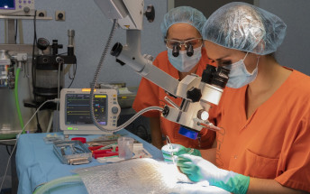 El Servicio de Traumatología organiza un curso de microcirugía con animales de experimentación para residentes