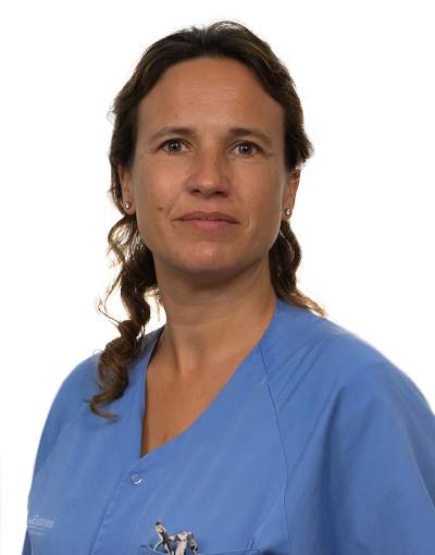 Maria Tejedor Mestre