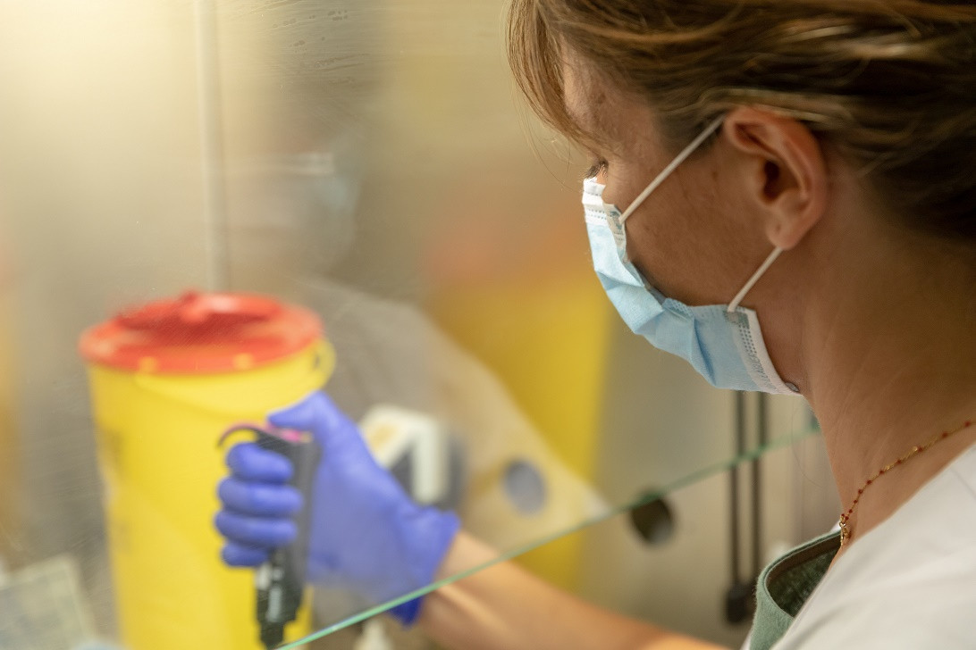 Esta imagen ilustra que: El Servei de Microbiologia informa sobre variants del SARS-CoV-2 detectades a les Illes Balears