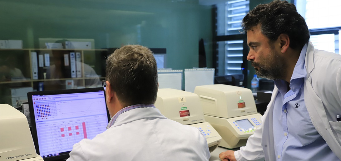 Esta imagen ilustra que: Actualització del Servei de Microbiologia sobre seqüenciació de variants del Sars-Cov-2 a les Illes Balears