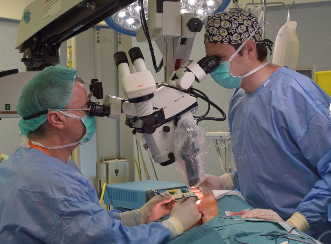 Esta imagen ilustra que: Son Espases cierra el mes de agosto con el mayor número de intervenciones quirúrgicas realizadas: 1.930