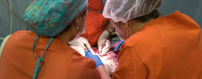 Son Espases realiza siete trasplantes renales en ocho días